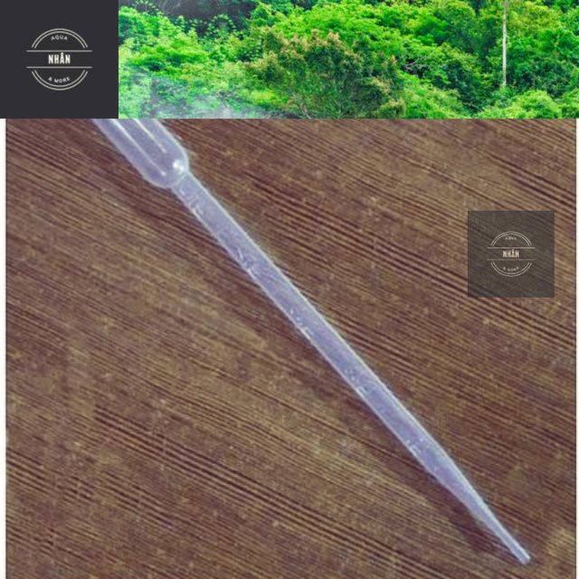 COMBO 5 Ống Hút Sữa 10ml - pipet 10ml - Nhhân Aqua - Giao hàng siêu nhanh