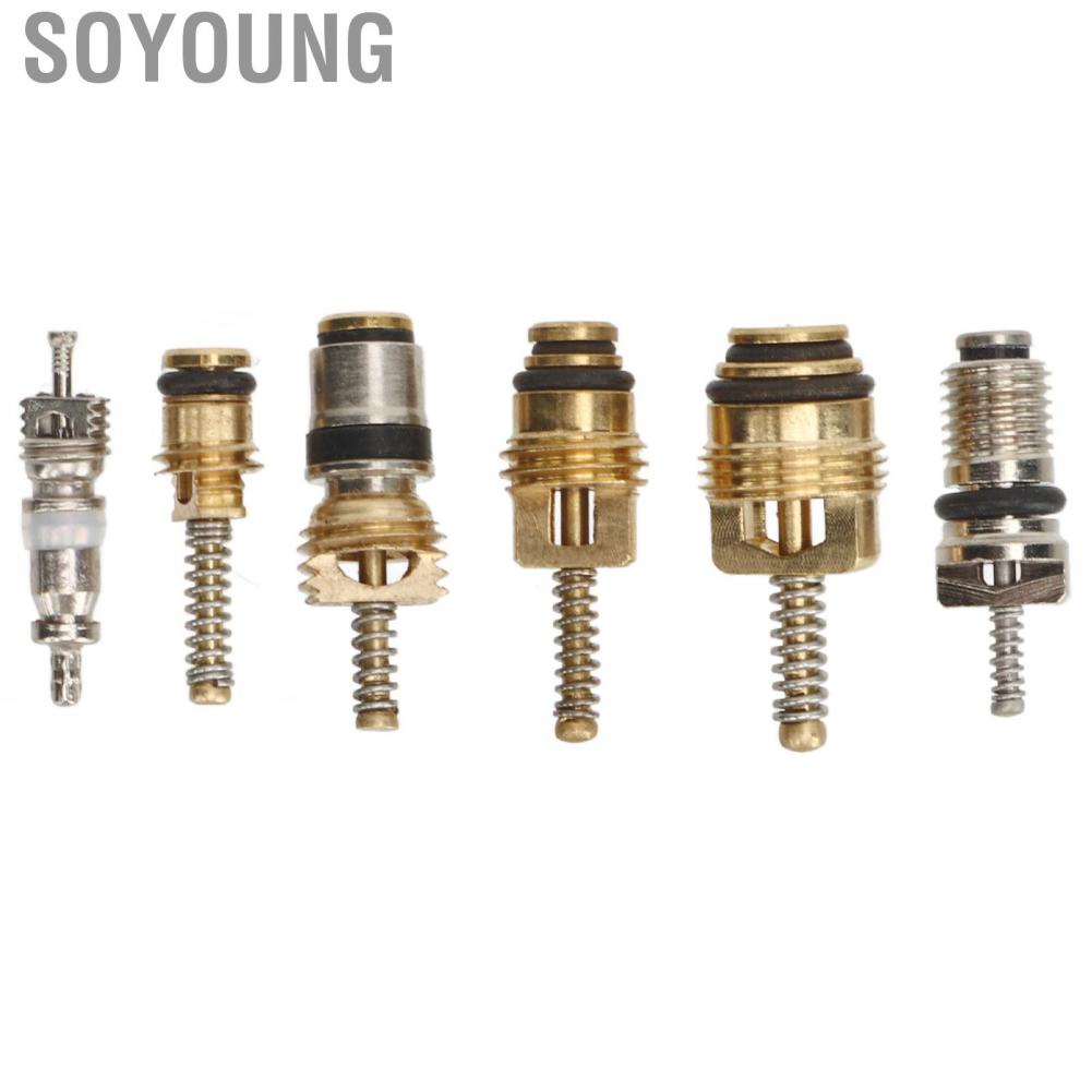 Soyoung AC Valve Core Repair Set  Multipurpose Refrigeration Tire Stem Lightweight Aluminium Copper 41Pcs Portable with Remover for Car Home