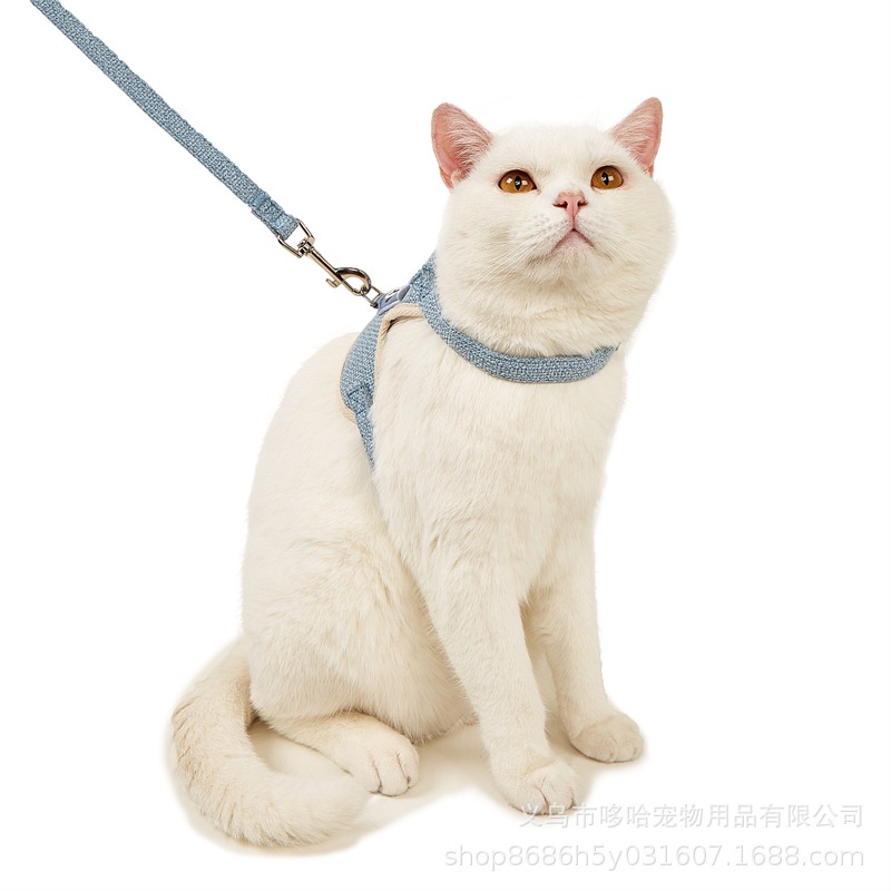 Mèo ngoài trời kéo quần áo dây thừng gấu hình ảnh hoạt hình con mèo vành đai ngực