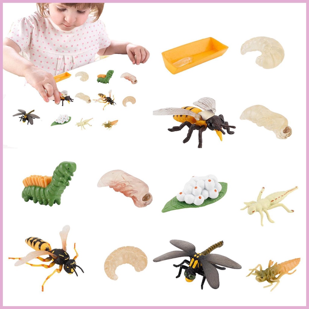 Set 12 Tượng Côn Trùng Đồ Chơi Cho Bé