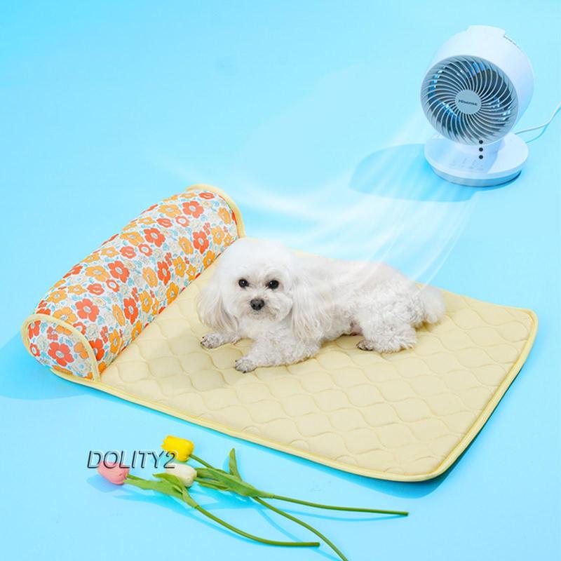 Chiếu điều hoà Cho Thú Cưng Trên Xe Hơi Vào Mùa Hè
