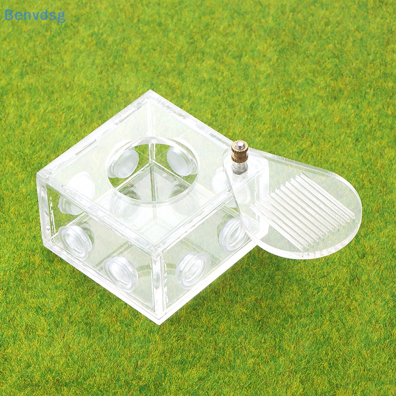 Benvdsg > Phụ Kiện Ống Nghiệm Bằng Acrylic Trong Suốt Độc Đáo DIY