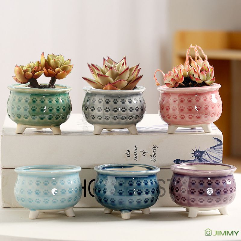 Chậu Gốm Trồng Cây Có Giá Đỡ Họa Tiết Móng Vuốt Mèo Dành Cho Trang Trí Nhà Cửa