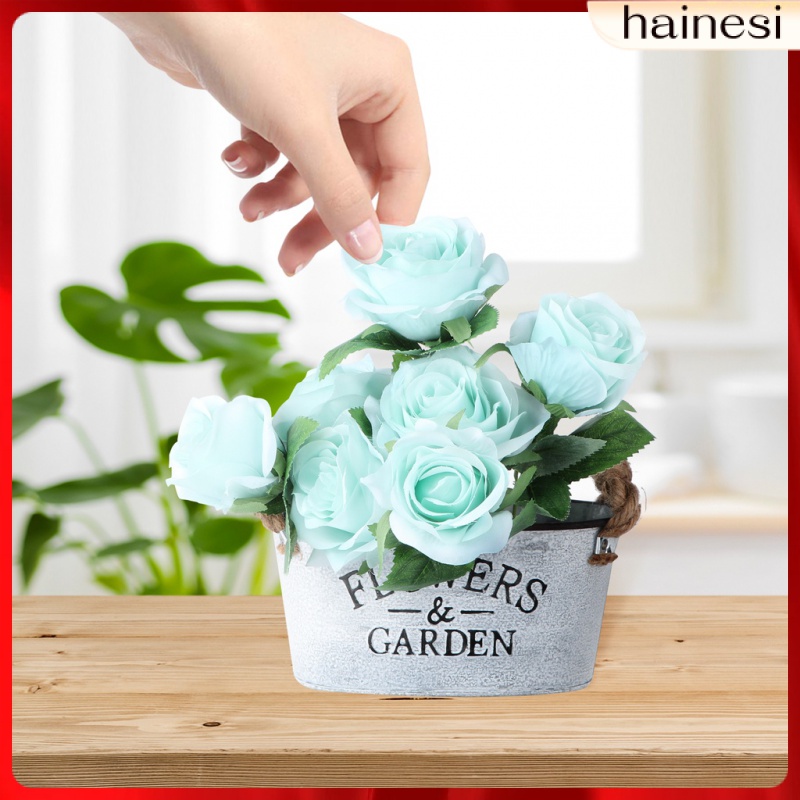 Chậu Hoa Bằng Thiếc Phong Cách Pháp Độc Đáo Trang Trí Nhà Cửa