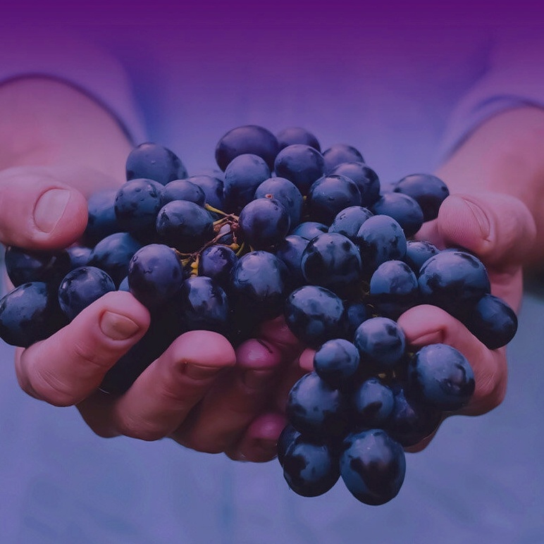 Sungboon Editor Meoru Podo Vita C Dark Spot Ampoule 30ml