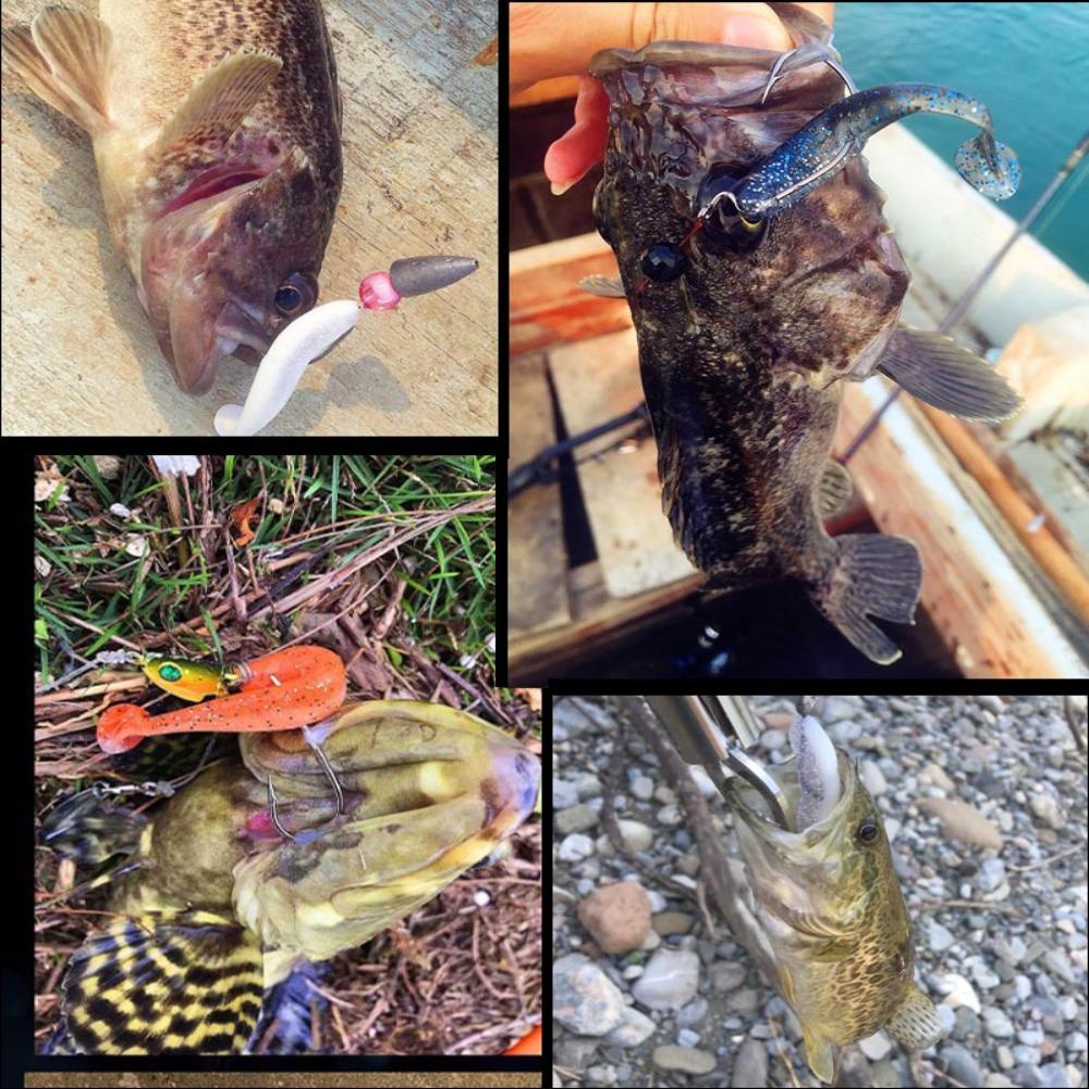 Mồi Giả Câu Cá Bằng Silicon Mềm 6cm / 7cm / 9cm