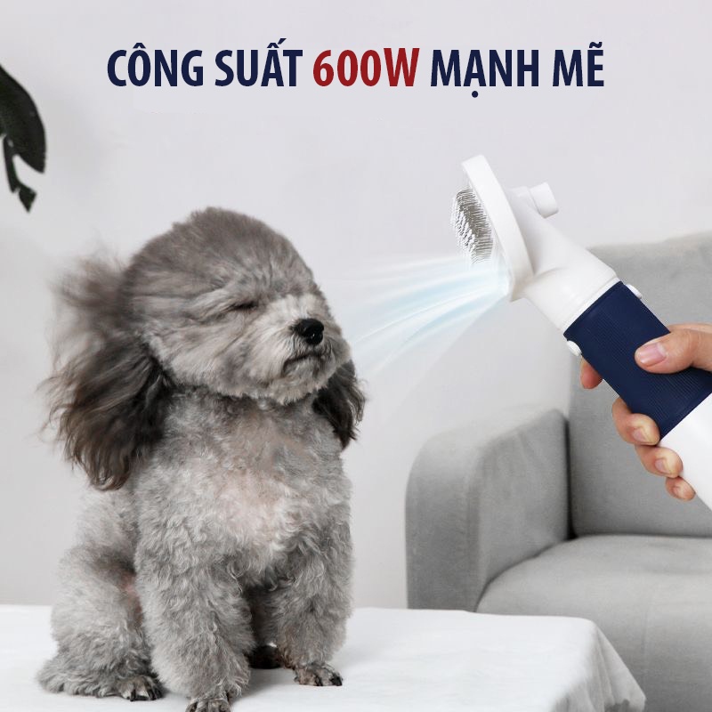 Máy sấy lông thú cưng sấy khô nhanh 3 trong 1, đa năng 600W, công suất gió lớn, máy sấy lông massage có đầu chải, có 2 đầu tóc, giao hàng nhanh tận nơi