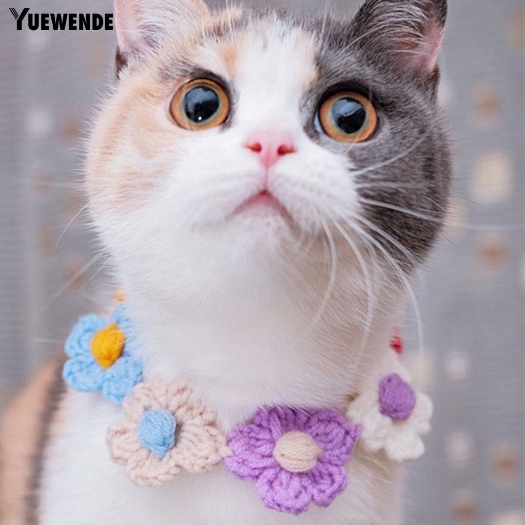 Yq.e Vòng Cổ Đan Len Hình Bông Hoa Tinh Tế Dành Cho Thú Cưng Tại Nhà