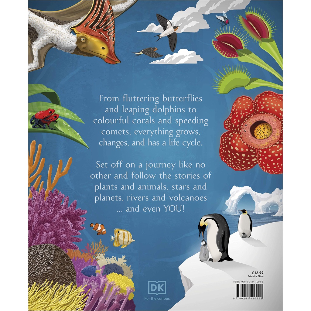 Life Cycles: Everything From Start To Finish