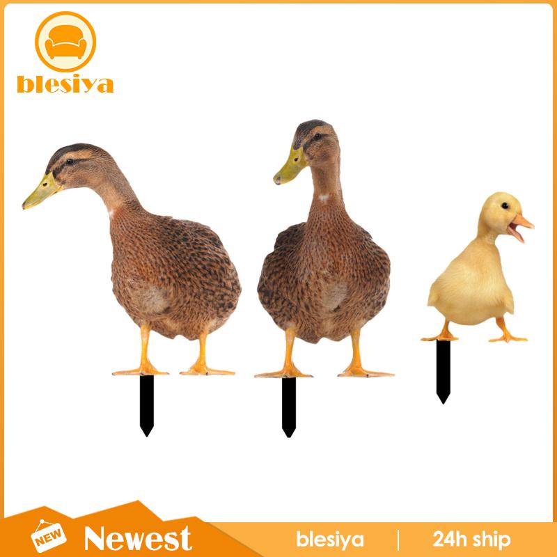 [Blesiya] Bộ 3 Bức Tượng Vịt Trang Trí Lối Đi Sân Vườn