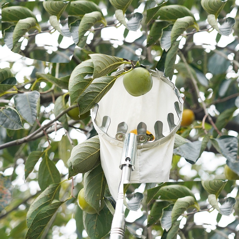 Vợt hái trái cây trên cao đa năng kèm túi vải, dụng cụ hái hoa quả kim loại siêu bền đẹp