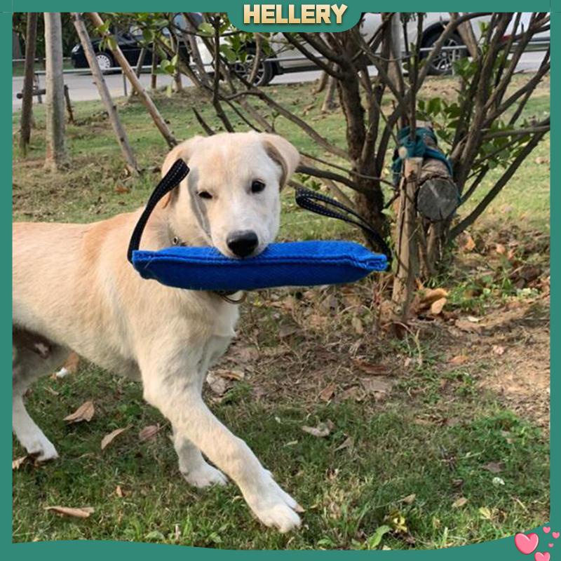 Đồ Chơi Nhai Gặm Hai Tay Cầm Mềm Mại Dành Cho Cún Cưng