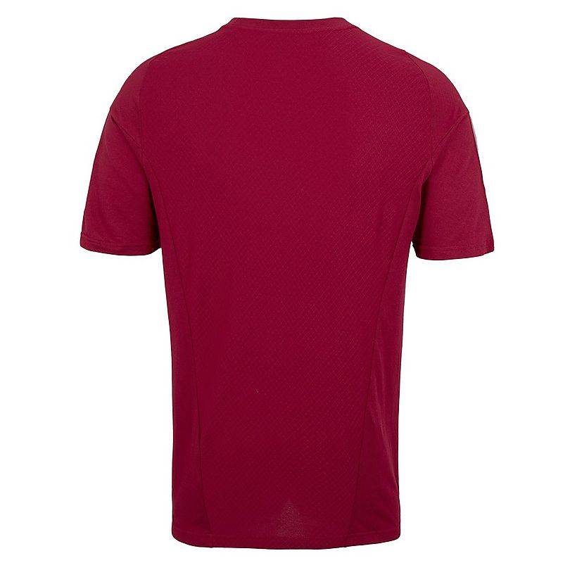 Si Áo Thun Thể Thao Bóng Đá Sân Khách arsenal 2023-2024