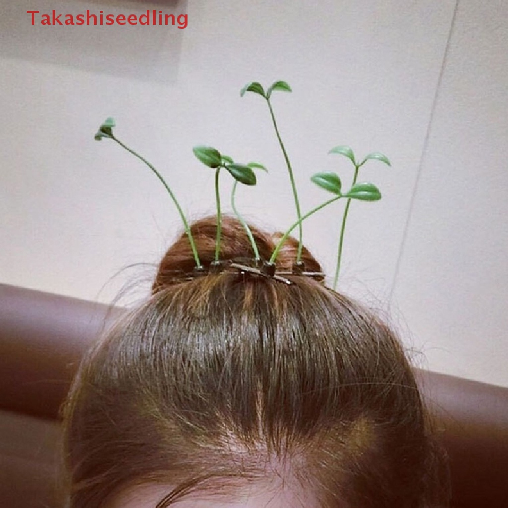 Set 5 Kẹp Tóc Hình Hoa / Bướm / Cây Mầm Non Vui Nhộn Cho Bé Gái