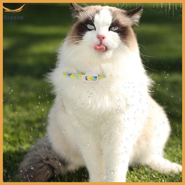 Vòng Cổ Chống Bọ Chét Nở Hình Cây Trồng Mùa Hè Cỡ Nhỏ / Vừa / Nhỏ