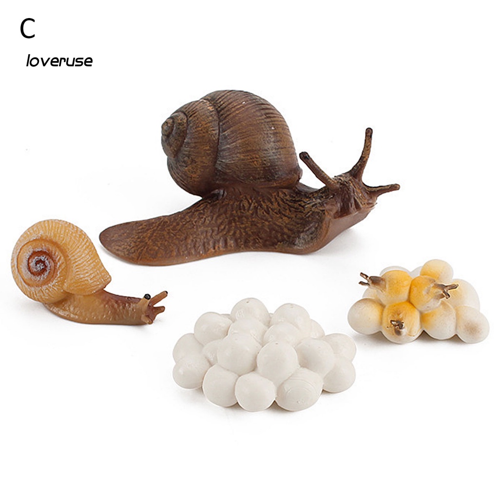 Set 4 Đồ trang trí Côn Trùng Đồ Chơi Giáo Dục Nhận Thức Sớm Cho Bé