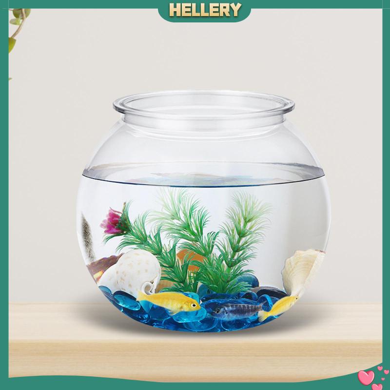 Bể Cá Trong Suốt Hình Tròn Dùng Trang Trí DIY