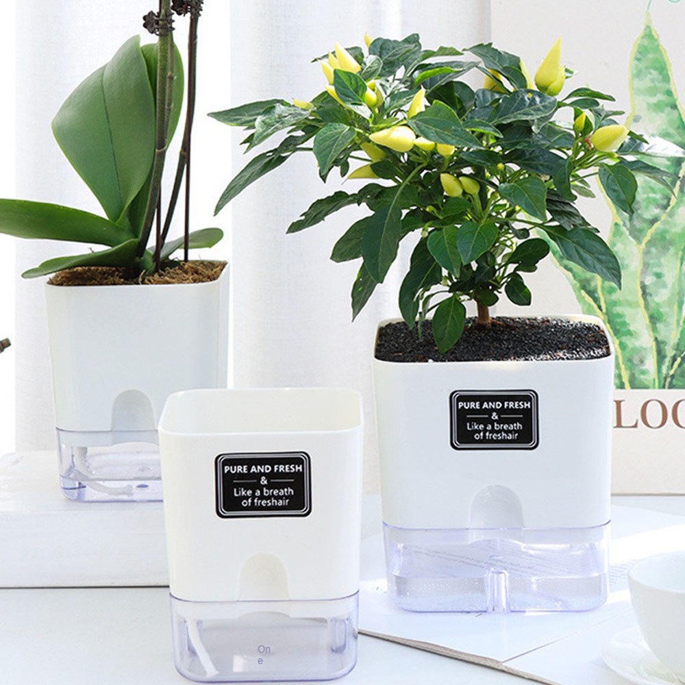 Chậu Trồng Cây Tự Động Bằng Dây Cotton Bện Có Giác Hút Tiện Dụng