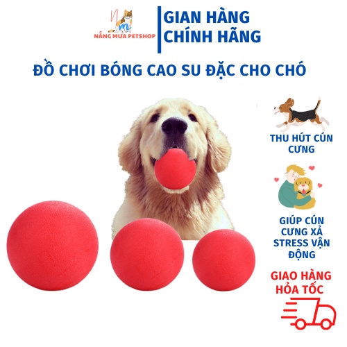 Bóng cao su đặc, đồ chơi cho chó