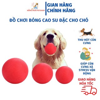 Bóng cao su đặc, đồ chơi cho chó