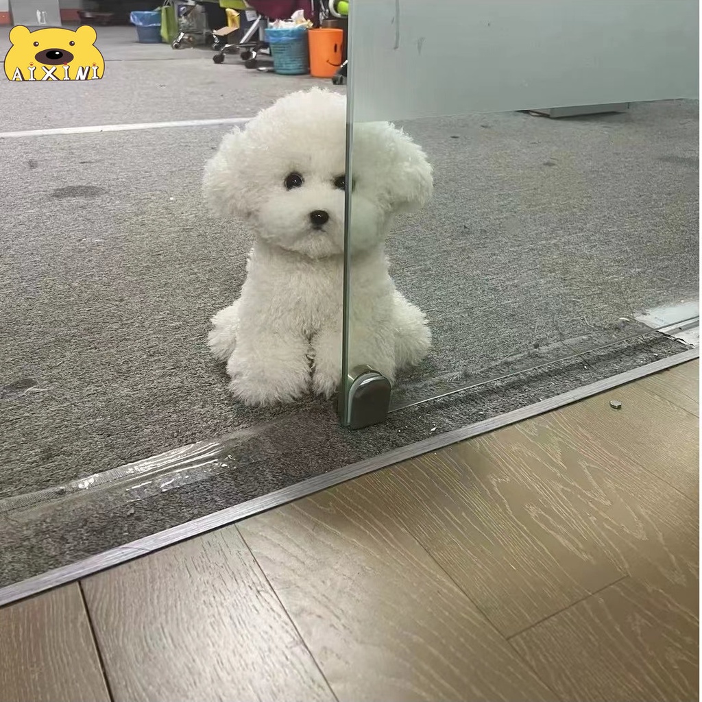 Gấu Bông chó Thú Nhồi Bông Hình Chú Chó Bichon Dễ Thương