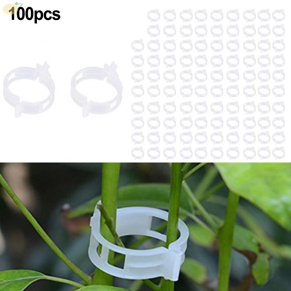 【VARSTR】Securely Hang Melon Watermelon and Other Melon Vegetables with 100 Plant Vine Ties