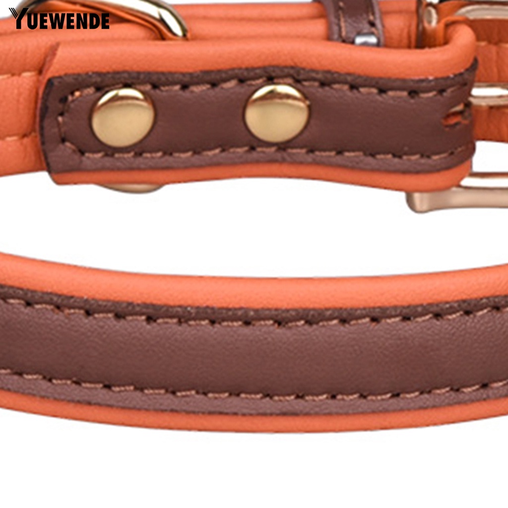 Vòng Cổ Chống Thất Lạc Màu Sắc Tương Phản Tùy Chỉnh Kích Thước Cho Thú Cưng