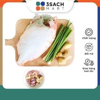 [RTC] Cá Diêu Hồng Hấp Hành Gừng (Khay 700g)