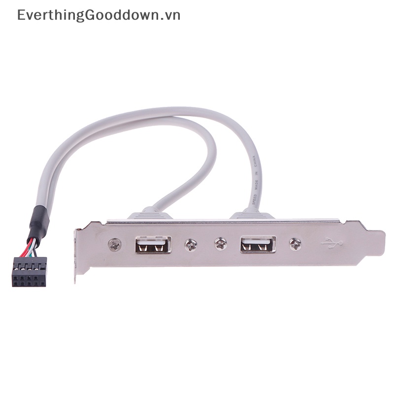 Everthingooddown 1 Bảng Mạch Mở Rộng Cổng USB 2.0 2 Cổng