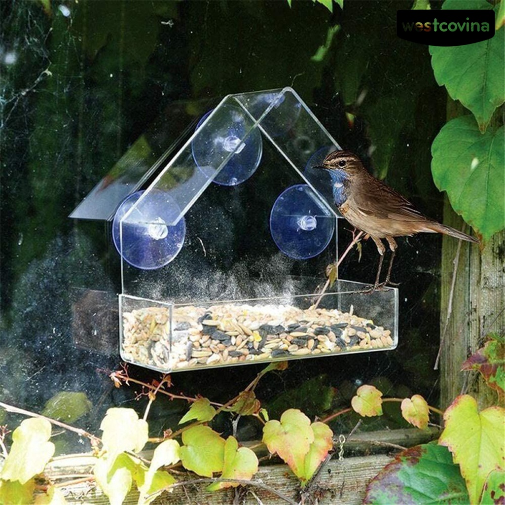 [COD]♞Khay Đựng Thức Ăn Dung Tích Lớn Thiết Kế Cốc Hút Chống Mài Mòn Tiện Dụng Cho Chim Cảnh