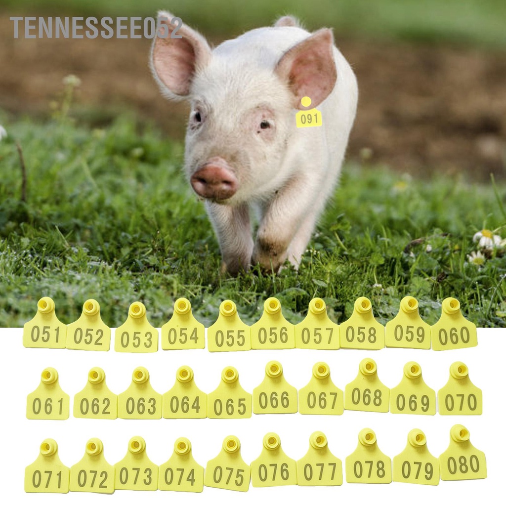 Tennessee052 100 Bộ Thẻ tai gia súc Nhãn lợn được đánh số bằng nhựa màu vàng cho chăn nuôi trang trại
