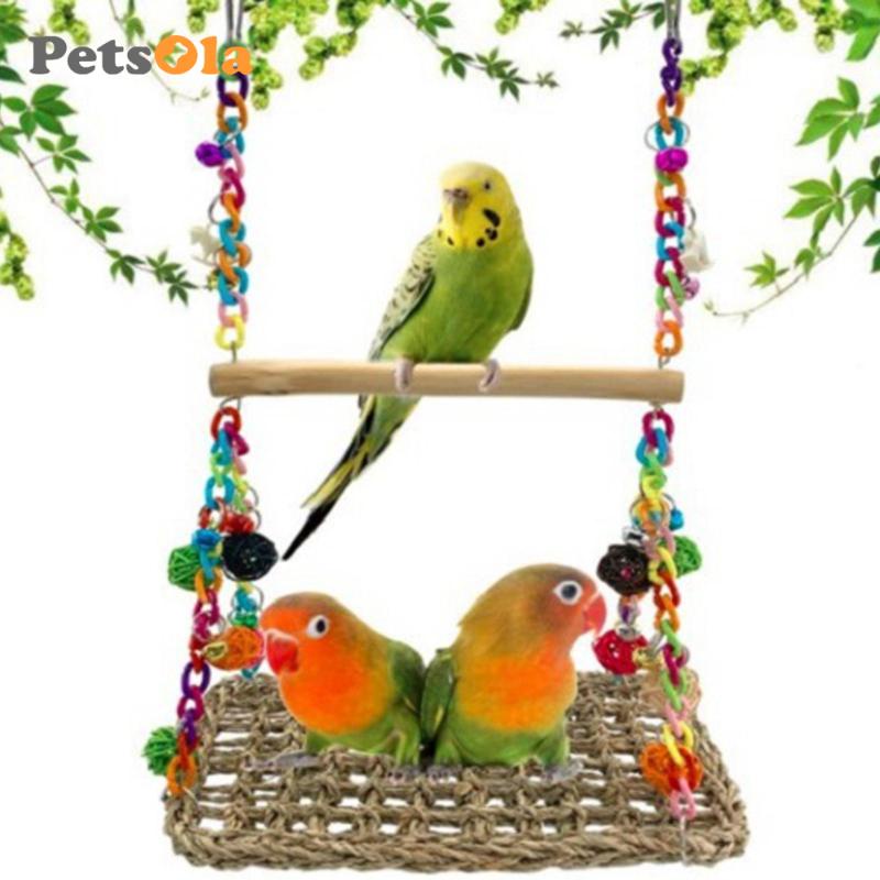 Đồ Chơi GặM Vui NhộN Cho Chim / VẹT