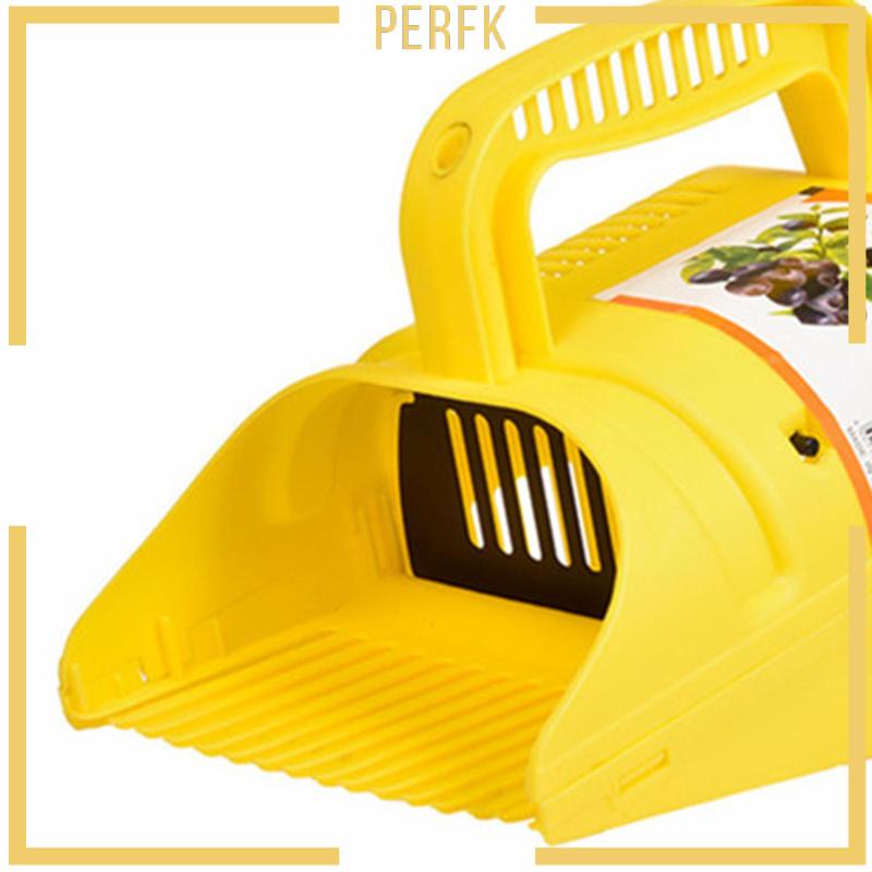 Dụng Cụ Gieo Hạt Việt Quất Tiện Dụng Cho Nhà Bếp