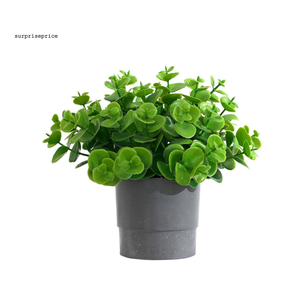 Chậu Cây Bonsai Nhân Tạo Bằng PVC Không Phai Màu Dùng Trang Trí Nhà Cửa