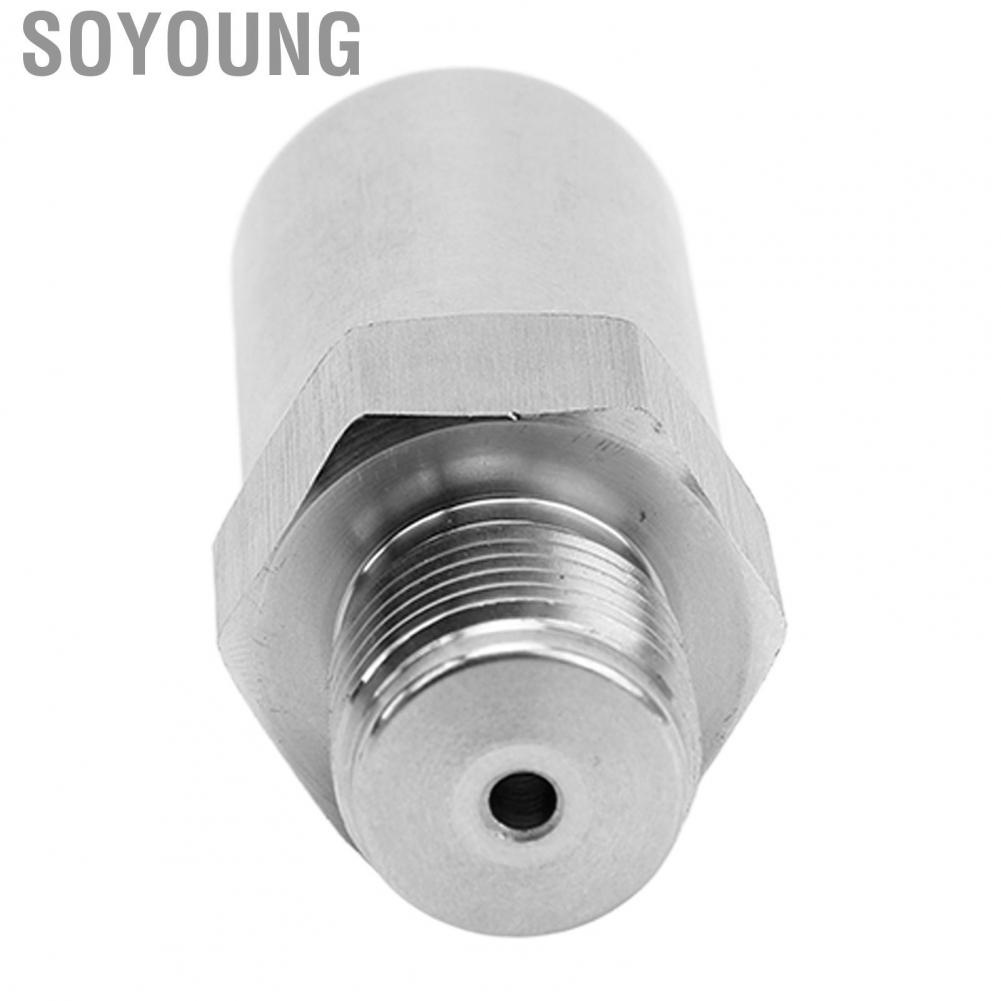 Soyoung Fuel Rail Plug Pressure Relief Valve M16X1.5 Stainless Steel for Sierra