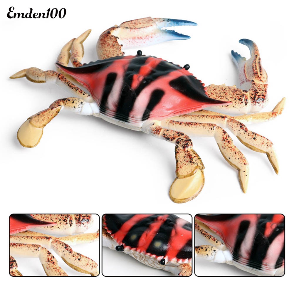 Đồ trang trí Cua Biển Đồ Chơi Bằng Nhựa Cho Bé