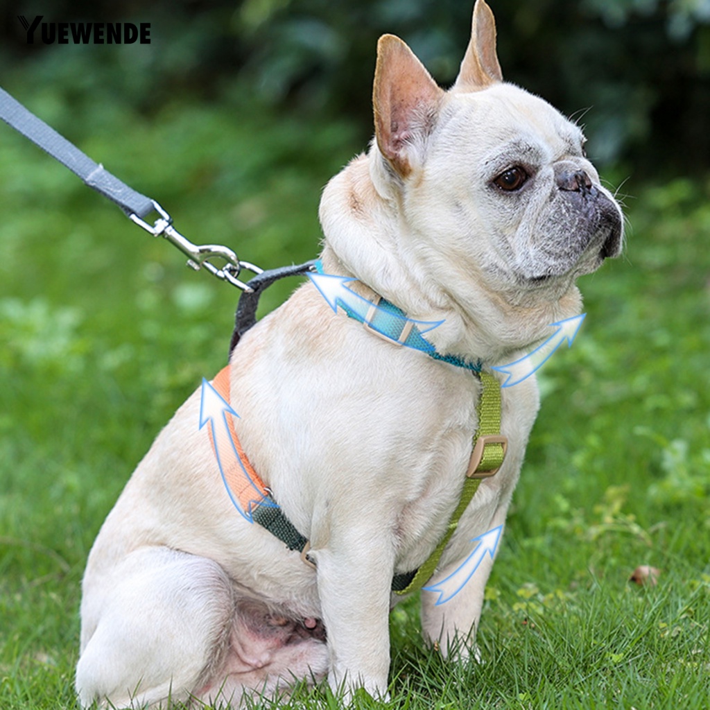 Đai Dắt Chó Đi Dạo Tháo Lắp Nhanh Tiện Lợi Yue.z