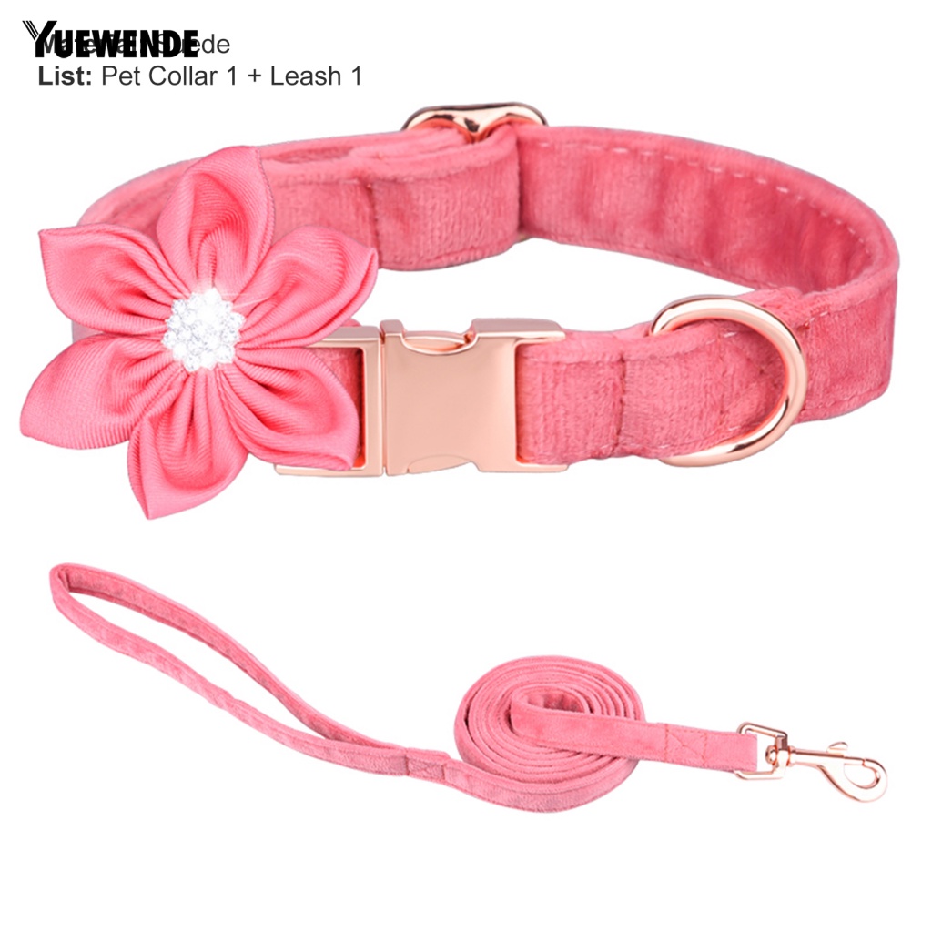 1 Bộ Vòng Cổ Thân Thiện Với Môi Trường Kèm Dây Dắt Cho Thú Cưng