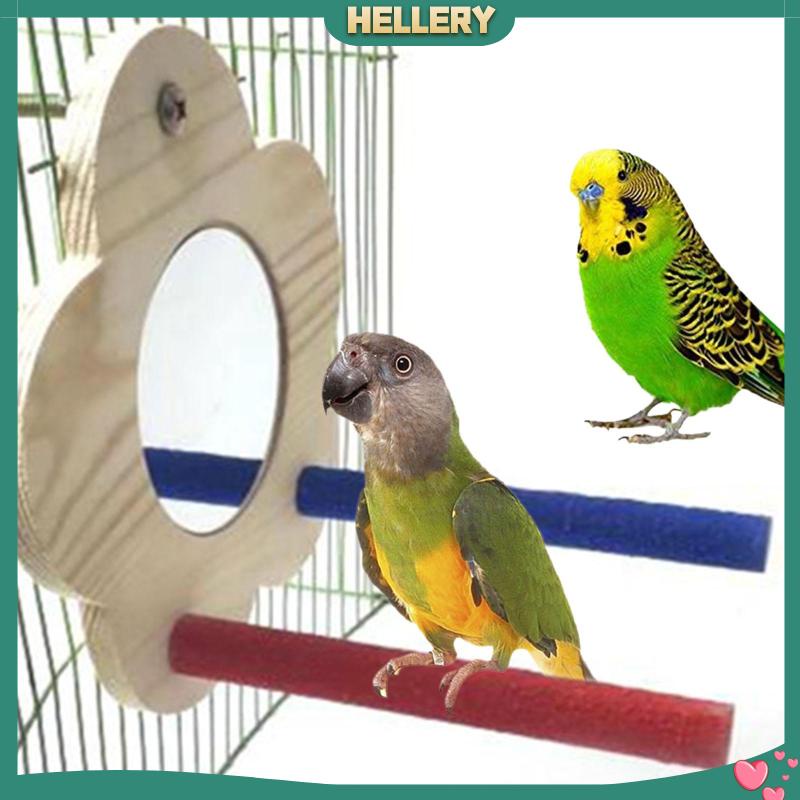 Cát Bằng Gỗ Dùng Làm Chỗ Đứng Cho Chim Vẹt