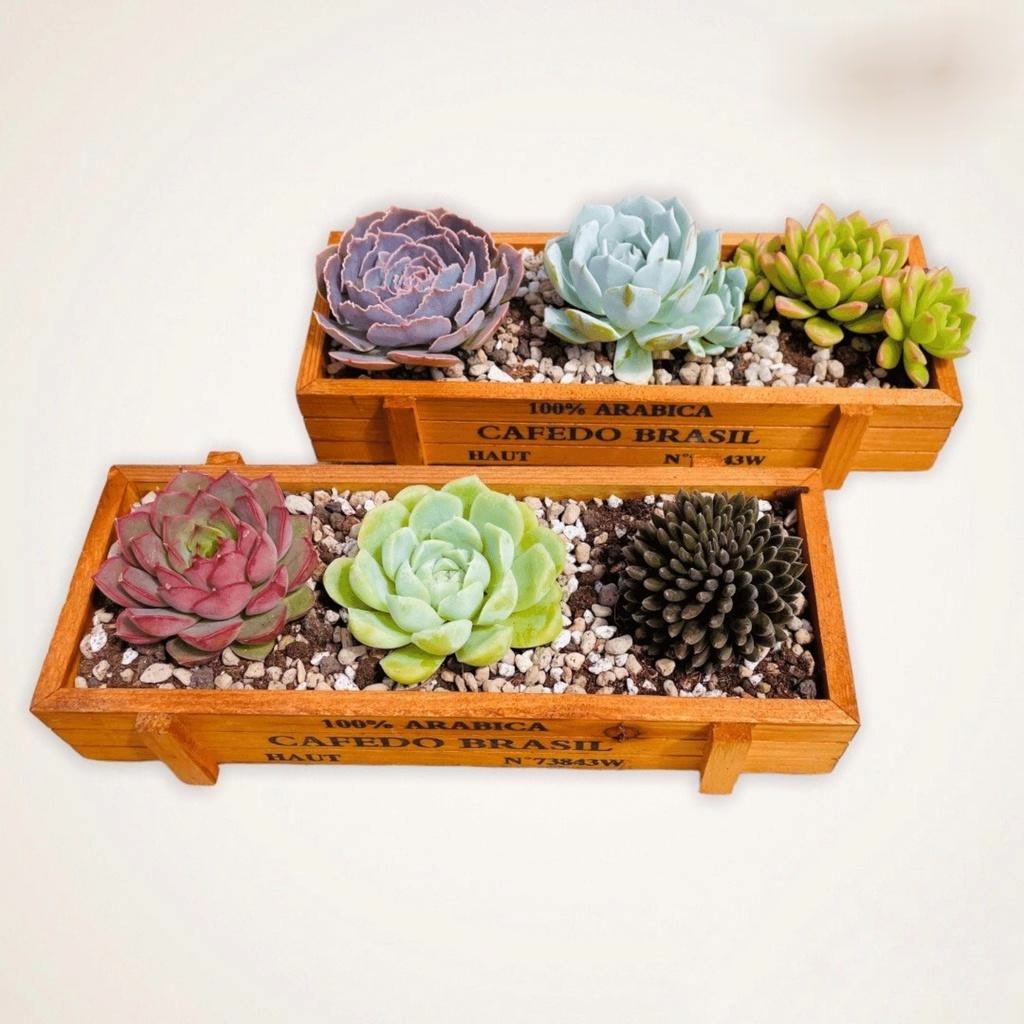 ​​​​Mô Hình Tiểu Cảnh "Chậu Gỗ Hình Chữ Nhật Vintage Mini" Trang Trí Sen Đá, Sân Vườn/ Chậu Cây, DYI, Terrarium