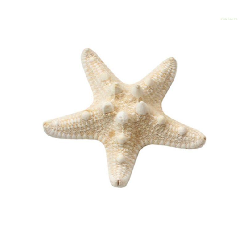 Kẹp Tóc Hình Sao Biển Bằng Kim Loại Màu Trắng Chống Trượt