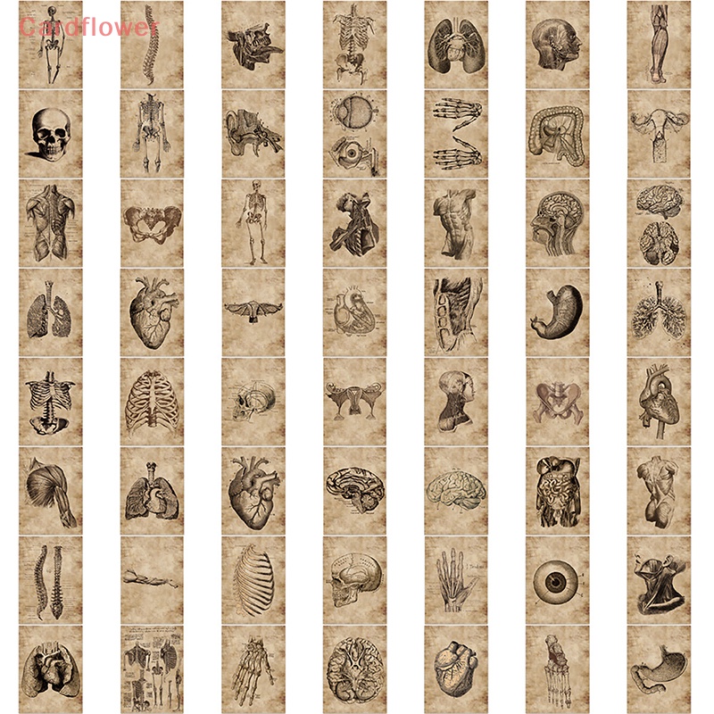 Bộ 56 Hình Dán Trang Trí Cơ Thể Kiểu Bộ Xương Mới