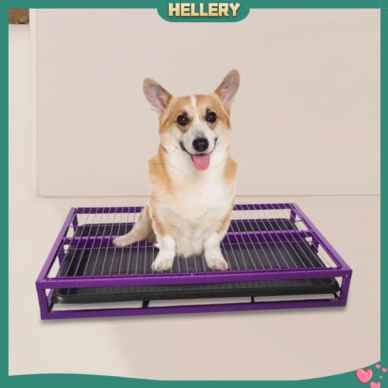 Hộp Đi Vệ Sinh Chống Văng Cho Thú Cưng