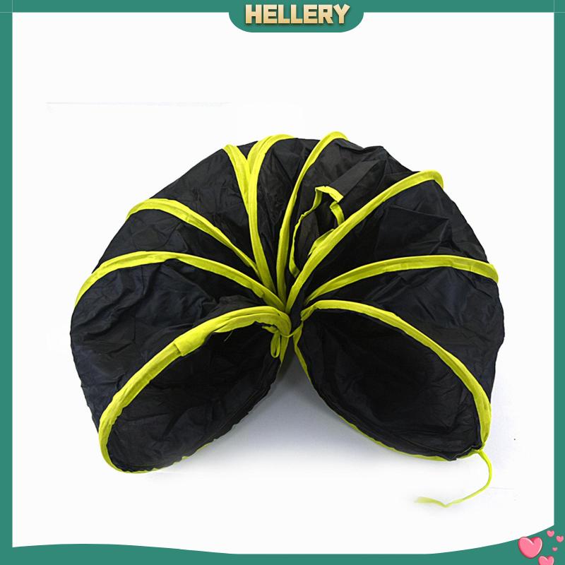 Đồ Chơi Đường Hầm Gấp Gọn Vui Nhộn Cho Mèo Cưng