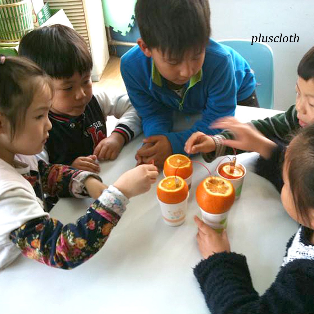 Bộ Đồ Chơi Thí Nghiệm Khoai Tây / Sinh Học Đèn Năng Lượng Mặt Trời DIY