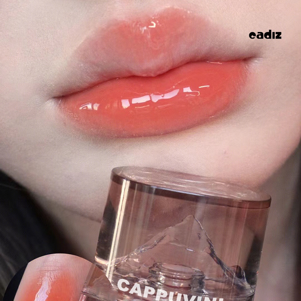 Dầu Dưỡng Môi Chiết Xuất Tự Nhiên 4.5g Chống Dính Độ Bóng Cao