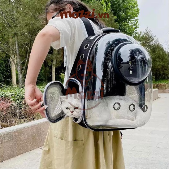 Ba lô Phi hành gia trong suốt có nắp kính 32x41cm cho chó mèo