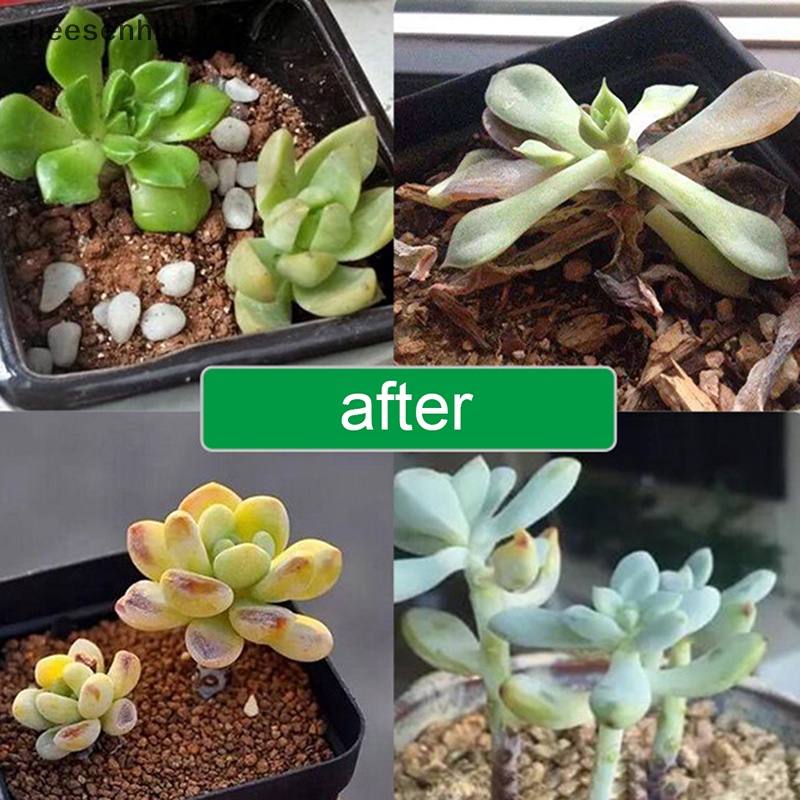 Đèn LED Trồng Cây Sạc USB 10W DC 5V