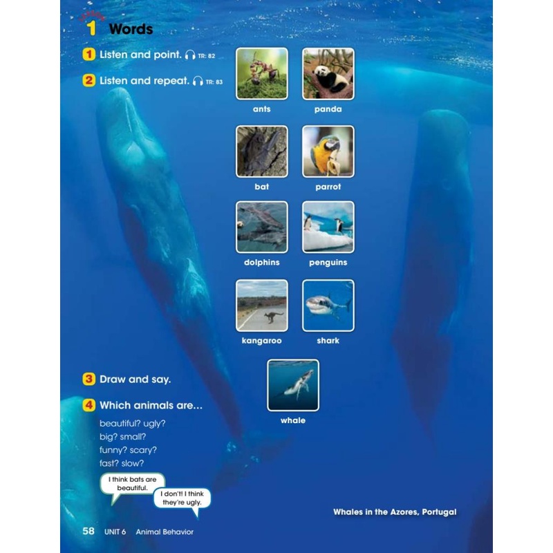 Look 3 Student's Book )