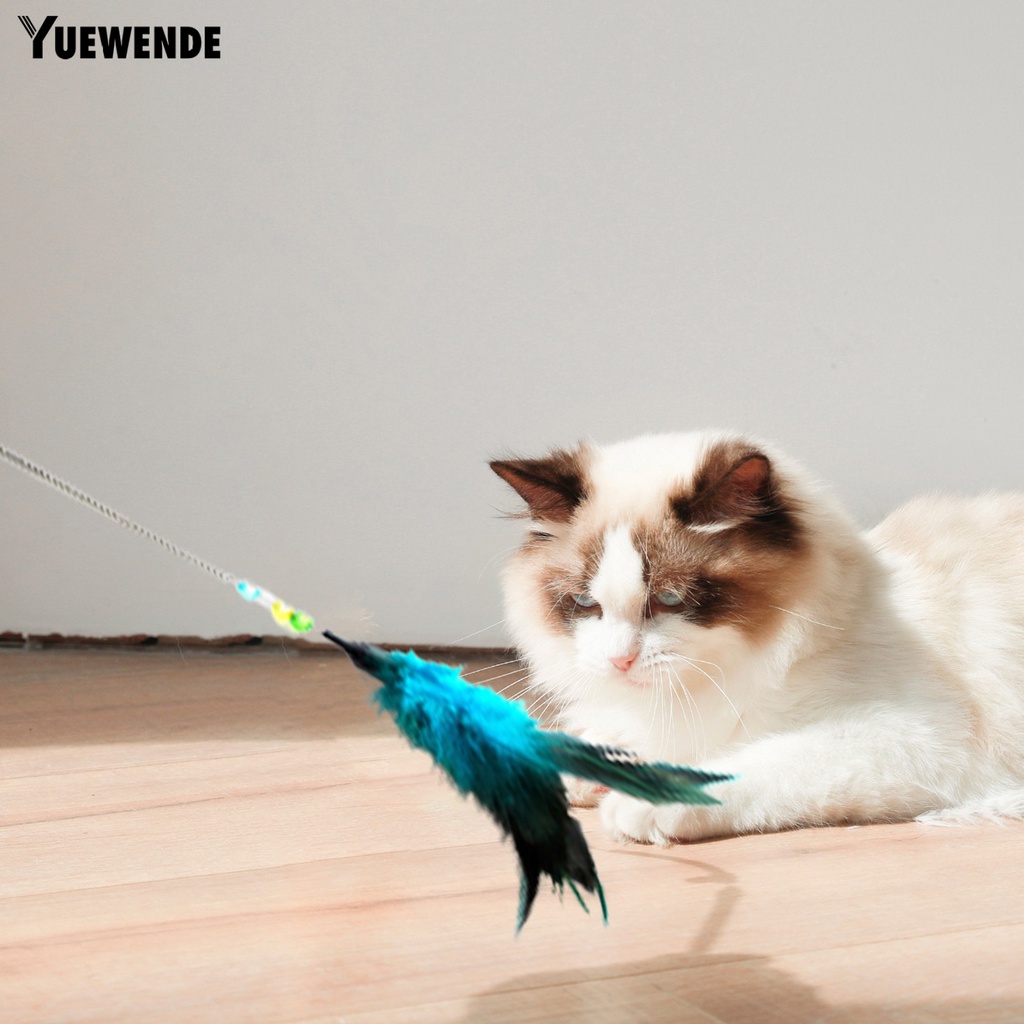 Gậy Đồ Chơi Dài Vui Nhộn Chống Cắn Cho Mèo Cưng